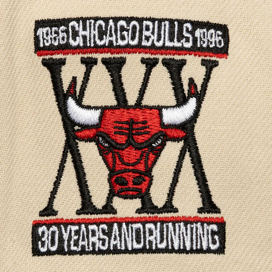 Chicago Bulls Mitchell & Ness Across the Board Snapback - Image 3
