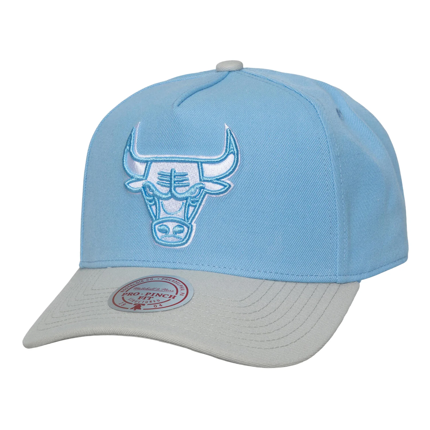 Chicago Bulls Mitchell & Ness Blue Gleam Pro Snapback