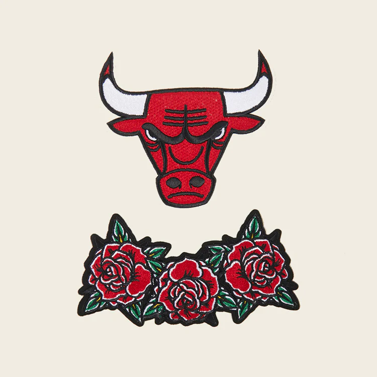 Chicago Bulls Pro Standard Fire And Roses Hooded Sweatshirt - Image 3