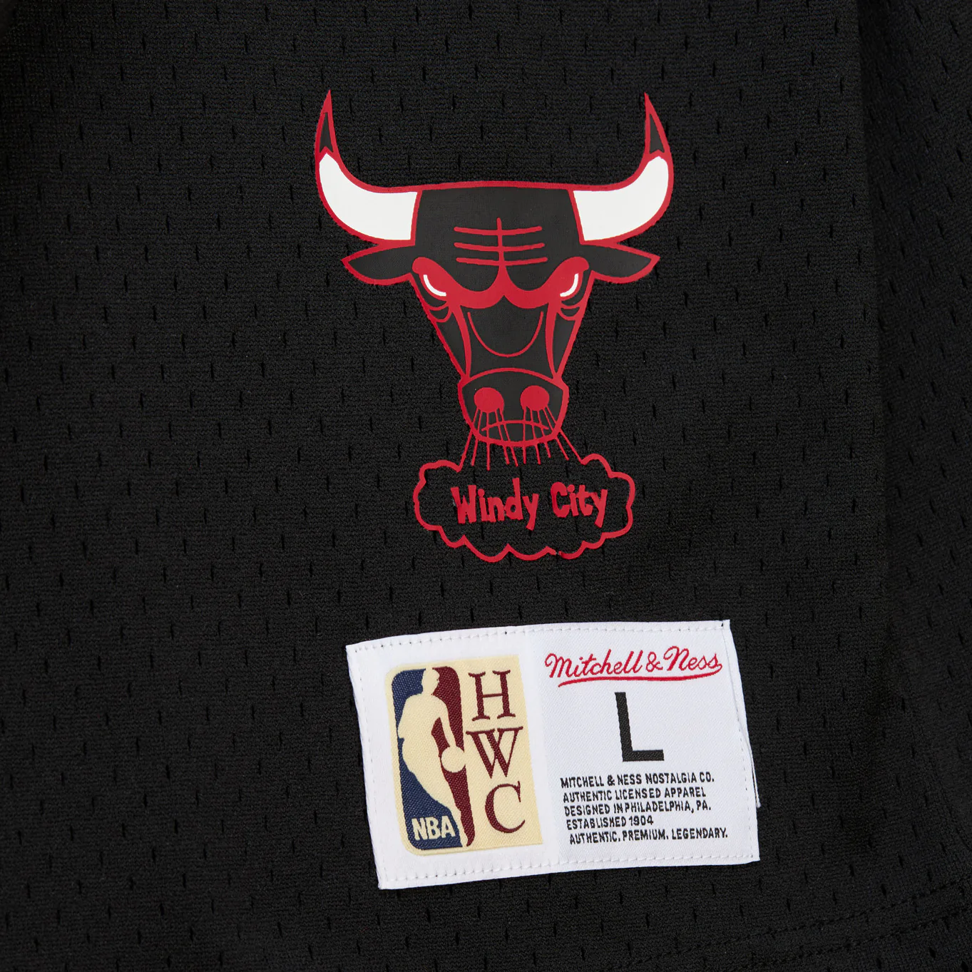 Chicago Bulls Mitchell & Ness '96 Dennis Rodman Mesh Hooded T-Shirt - Image 3