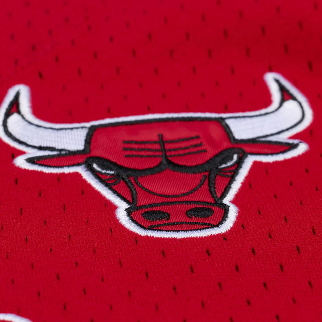 Chicago Bulls Mitchell & Ness Head Coach Baseball Jersey - Image 4