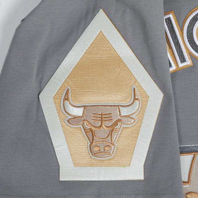 2024-25 Chicago Bulls City Edition Pro Standard Multi-Logo Grey T-Shirt - Image 5