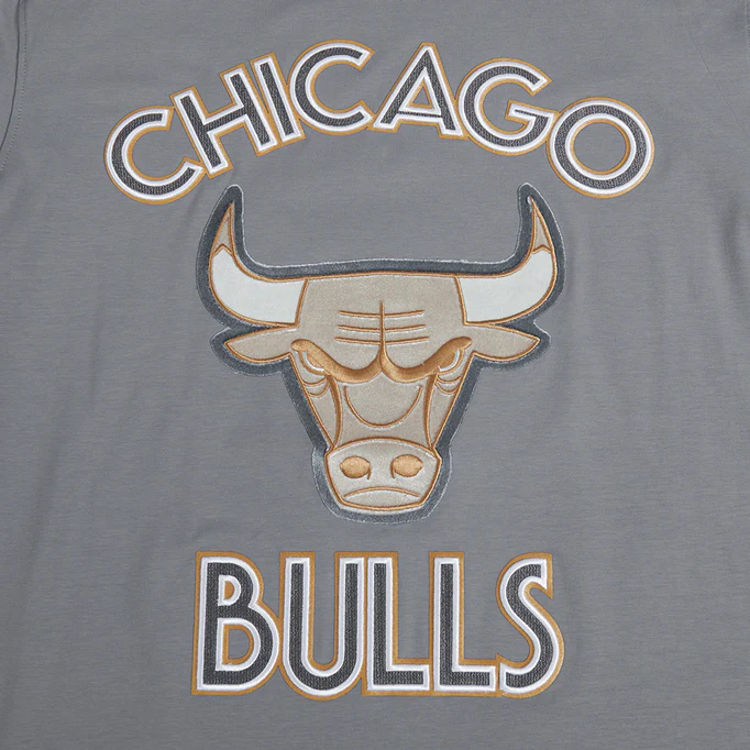2024-25 Chicago Bulls City Edition Pro Standard Multi-Logo Grey T-Shirt - Image 6