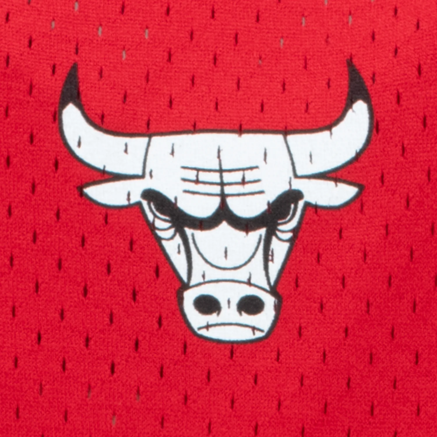 Chicago Bulls Authentic Lollapalooza 2024 Jersey - Image 4